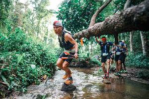 BIB: 
                            <button type="button" onclick="openModal(25370008)" class="btn btn-primary btn-sm float-right btn-popup" data-toggle="modal" data-target=".modal-high-quality">
                        <i class="fas fa-shopping-cart"></i> Add to Cart
                    </button>
                                            <button type="button" onclick="isThisMe(25370008, true)" class="btn btn-success btn-sm float-right btn-popup btn-isme hidden" data-toggle="tooltip" data-placement="bottom" title="นี่คือรูปของคุณใช่ไหม คลิกที่นี่เพื่อเอาเข้าอัลบั้ม">
                        <i class="fas fa-plus"></i> Add to album
                    </button>
                    <button type="button" onclick="isThisMe(25370008, false)" class="btn btn-warning btn-sm float-right btn-popup btn-isnotme hidden">
                        <i class="fas fa-ban"></i> Remove from album
                    </button>